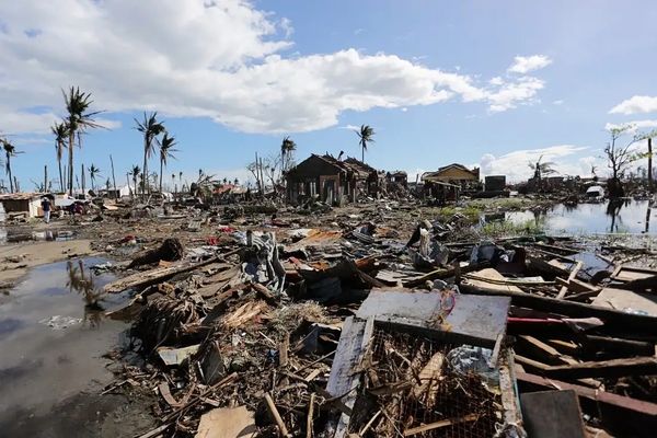 Destroyed homes and trees